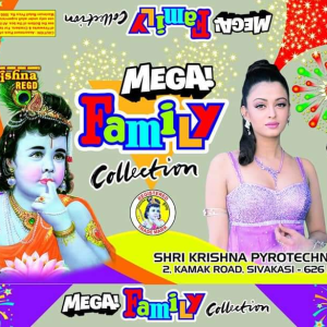 MEGA FAMILY - 45 ITEMS